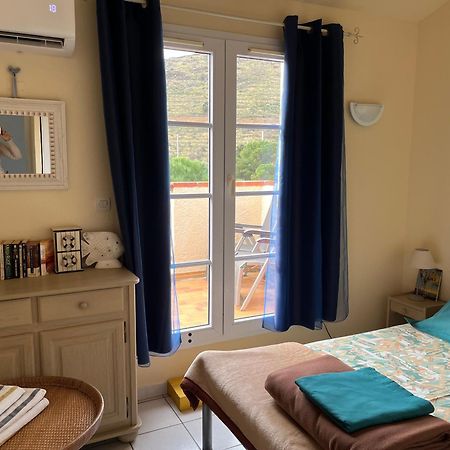 Ferienwohnung Aloes Cerbère Exterior foto